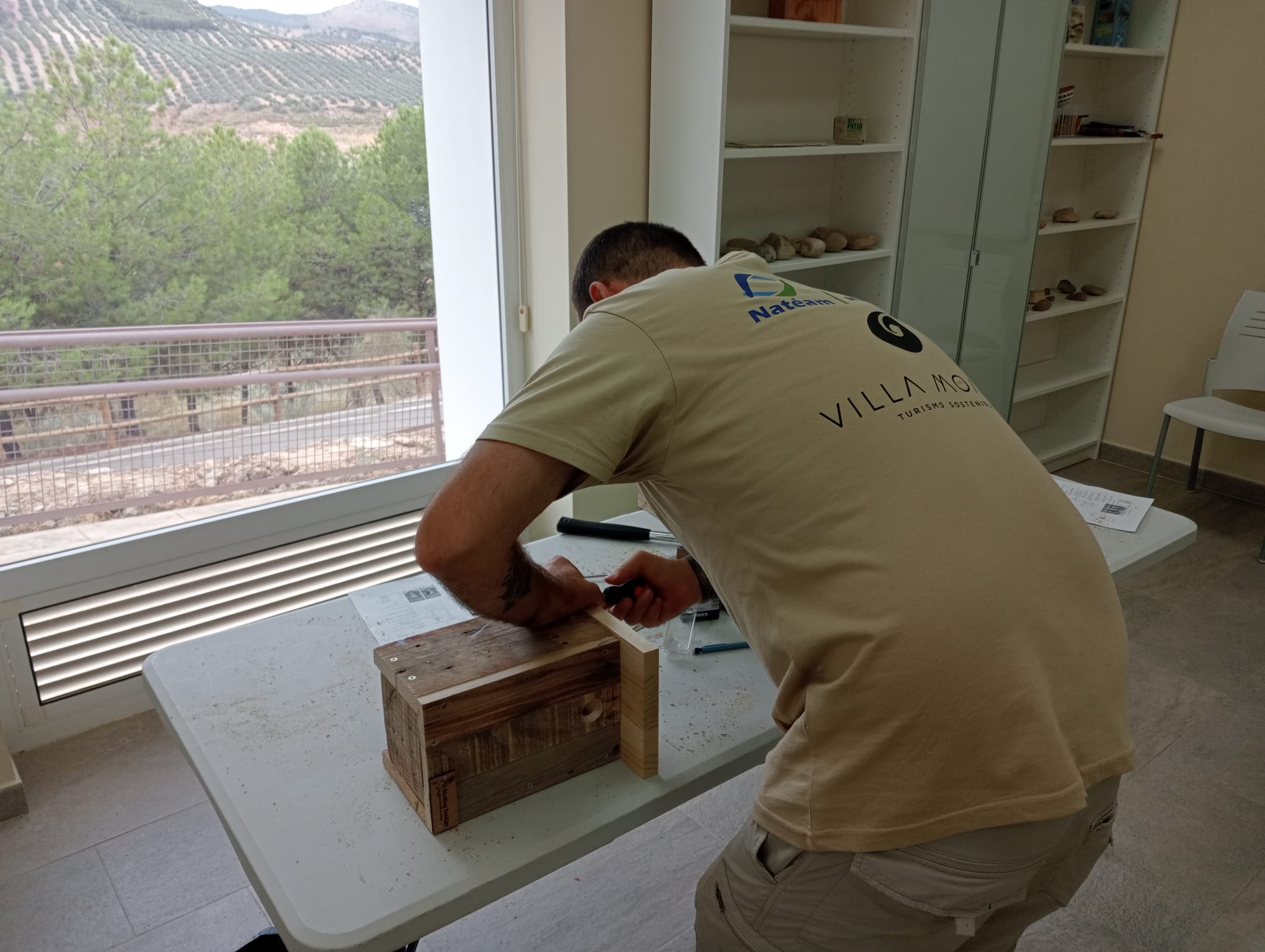 Cajas nido1