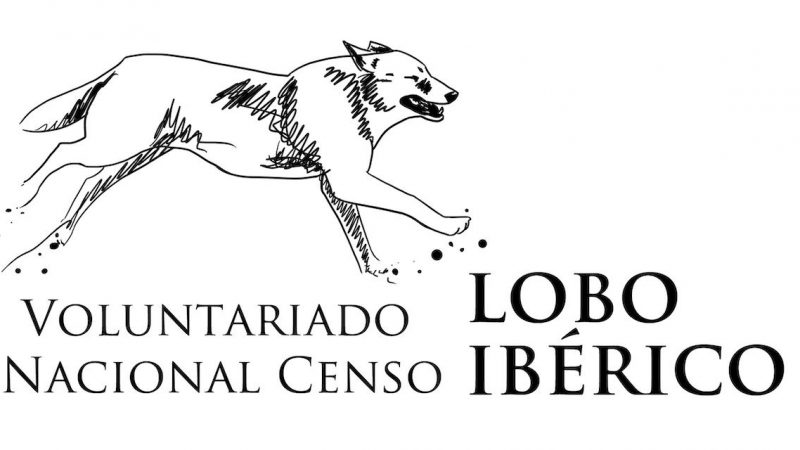 censo-logo-jpg